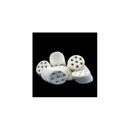 NITRO RING MOUNTAIN TREE 20L